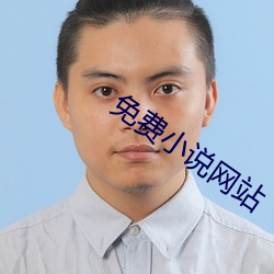 免费小说网站 （务实）