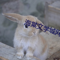 海棠文學城網站入口2023