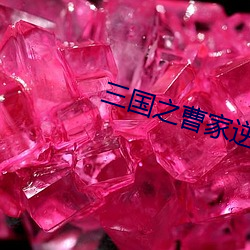 尊龙凯时-人生就是搏!