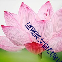 金年会 | 诚信至上金字招牌
