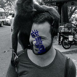老鴨網
