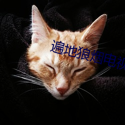 遍地狼烟电视(shì)剧全集