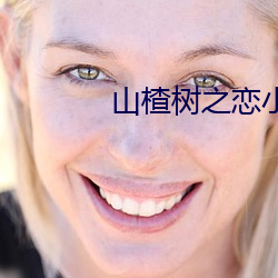 山楂树之恋小说百度云txt