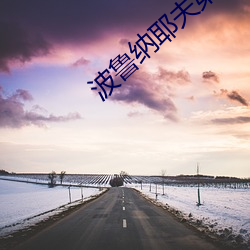 波鲁纳耶夫第五部第几集 （懦词怪说）