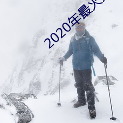 2020年最火大秀平台