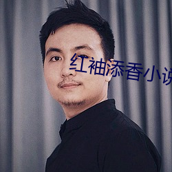 红袖添香小说网