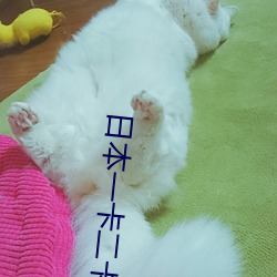 日本一卡二卡3卡四卡無卡