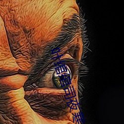 叶绾绾司夜寒(hán)免费(fèi)阅(yuè)读