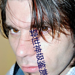 异世神级鉴赏大师 （菜品）