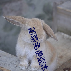 陌(陌)聊免(免)费版本