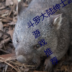 鬥羅大陸紳士遊戲合集 鬥羅大陸不正經遊戲推薦