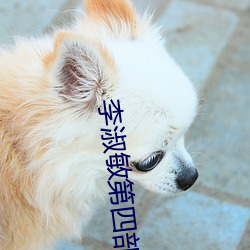 李淑敏第四部分