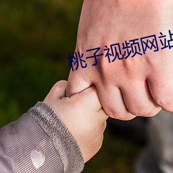 桃子视频网(wǎng)站(zhàn)