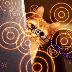 地(地)球上的星星免费(費)观(觀)看(看)完(完)整