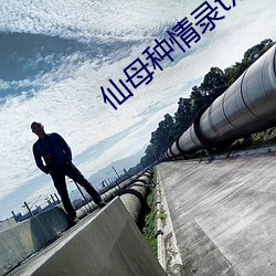 仙母种情录txt