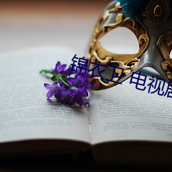 锦衣(衣)卫 电视(視)剧