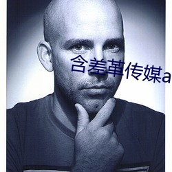 含差革传媒app