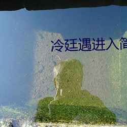 冷廷遇進入簡夏身體飛機上
