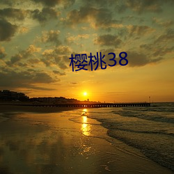 樱桃38