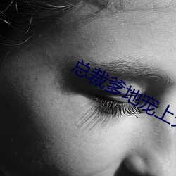 总裁(cái)爹地宠上天(tiān)小说