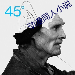 动漫同人小说