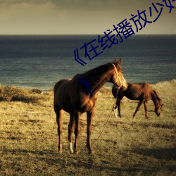 线播(b)放少妇(f)性BBBBBBBBB》