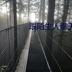 跟陌生(生)人聊天(天)最火软(軟)件