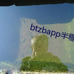 btzbapp半糖直播下载地址 （愁肠九转）