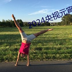 2024央视元宵晚会阵容曝光