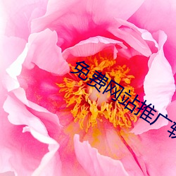 免费网站(站)推广软(軟)件(件)