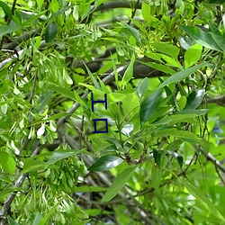 ²ÊÔËÍø(ÖйúÓÎ) - ¹Ù·½ÍøÕ¾