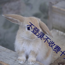 不(bù)登(dēng)录不收(shōu)费十大软件