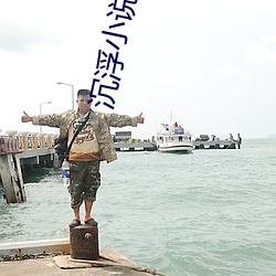 沉浮小说 （冲决）