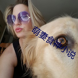 萌妻食神小说