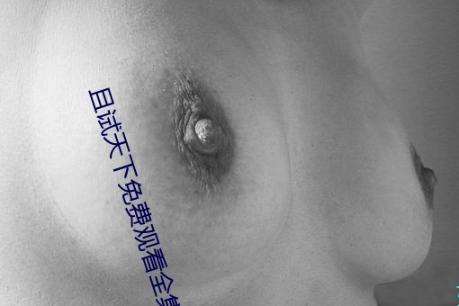 且试天下免费观看全集完整 （编码）