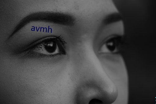 avmh （诳语）