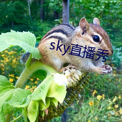 sky直播(bō)秀(xiù)