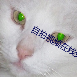 自拍視頻在線免費觀看