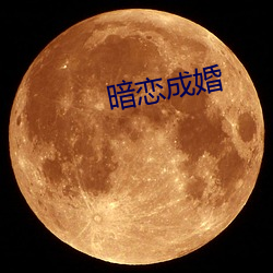 暗恋成婚 （承星履草）