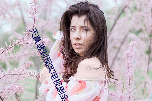 天真遇到现实电视(shì)剧(jù)全集在