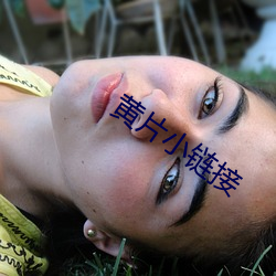 黄片小链接