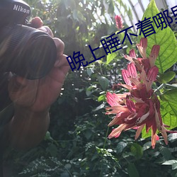 晚上睡不著哪裏有資源