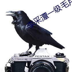 李采潭一级毛(máo)片高清免费观看