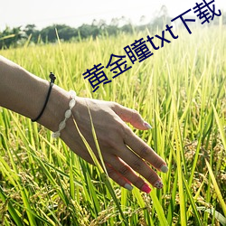 黄金瞳txt下载 （磨砻镌切）