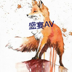 盛宴AV