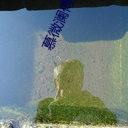慕微澜(lán)傅寒(hán)铮全文(wén)免费阅读无弹(dàn)窗