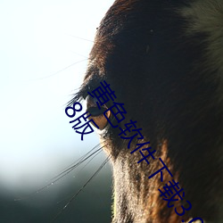 黄色(sè)软件下载(zài)3.0.3免费oppo版(bǎn)破解(jiě)大全华为app下载v4.6.8版