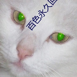 百色永久回家