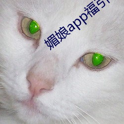 媚娘(niáng)app福引导官网(wǎng)