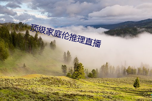 顶(dǐng)级家庭伦推理(lǐ)直播(bō)